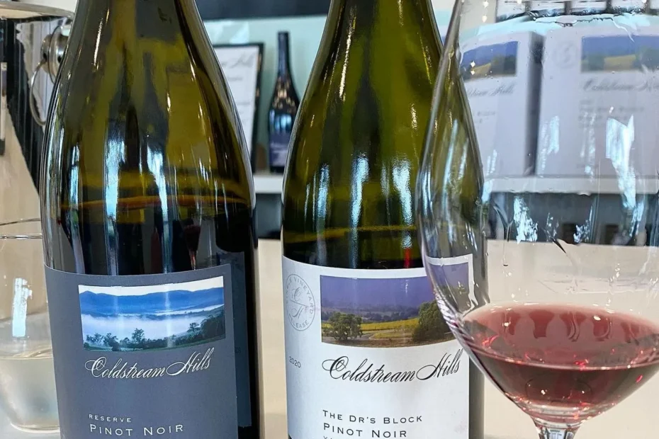 yt-youtube-to-mp3|Best Wine in Yarra Valley? Discover Pinot Noir