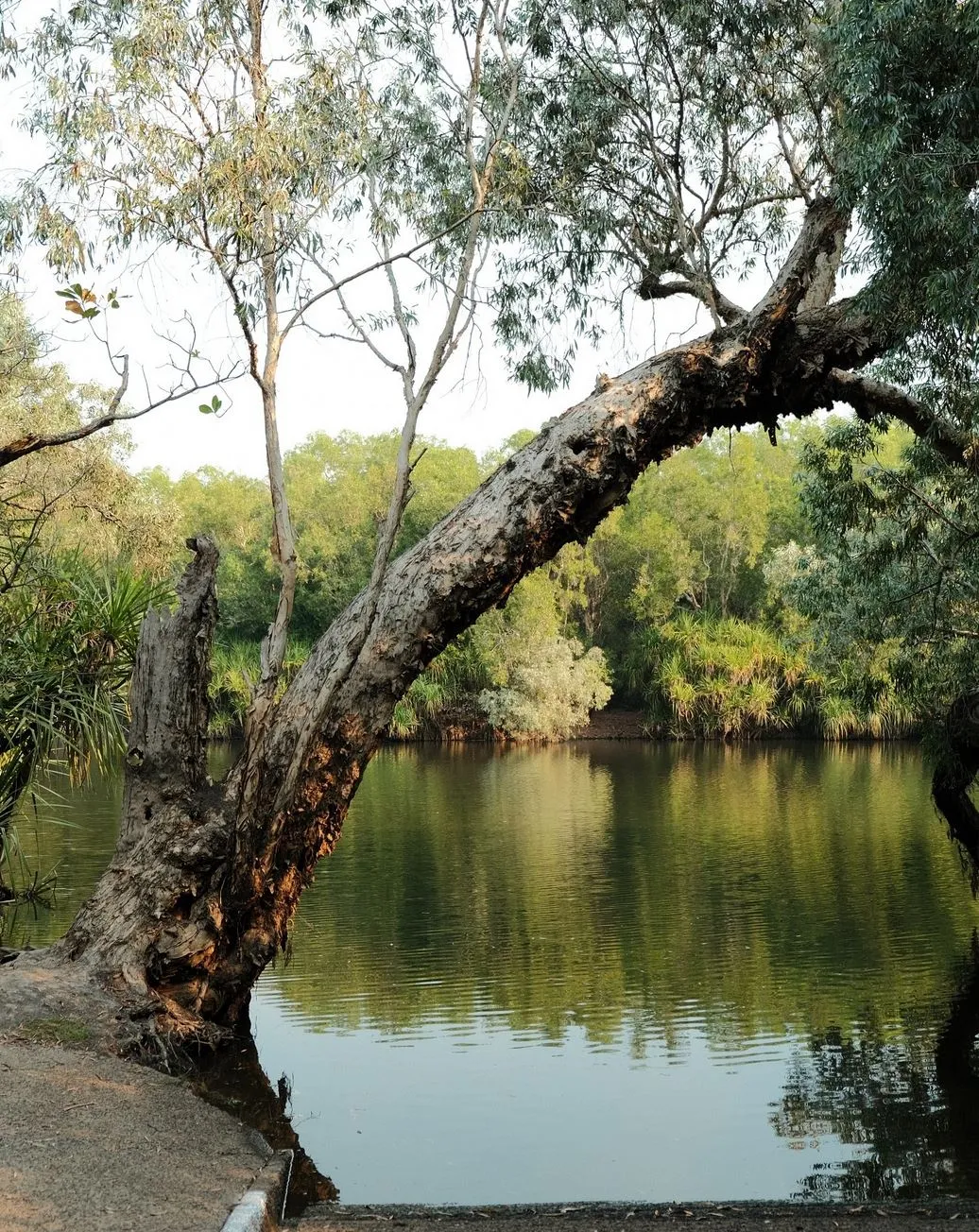 Cultural Landscape and Traditional Owners