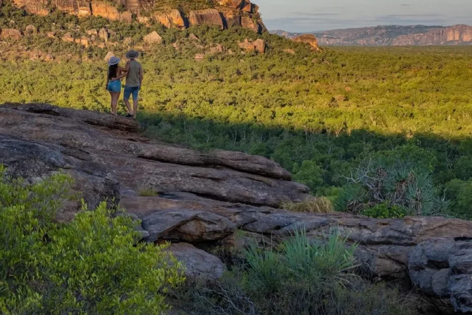 yt-youtube-to-mp3 | Is Kakadu Really a Rainforest?